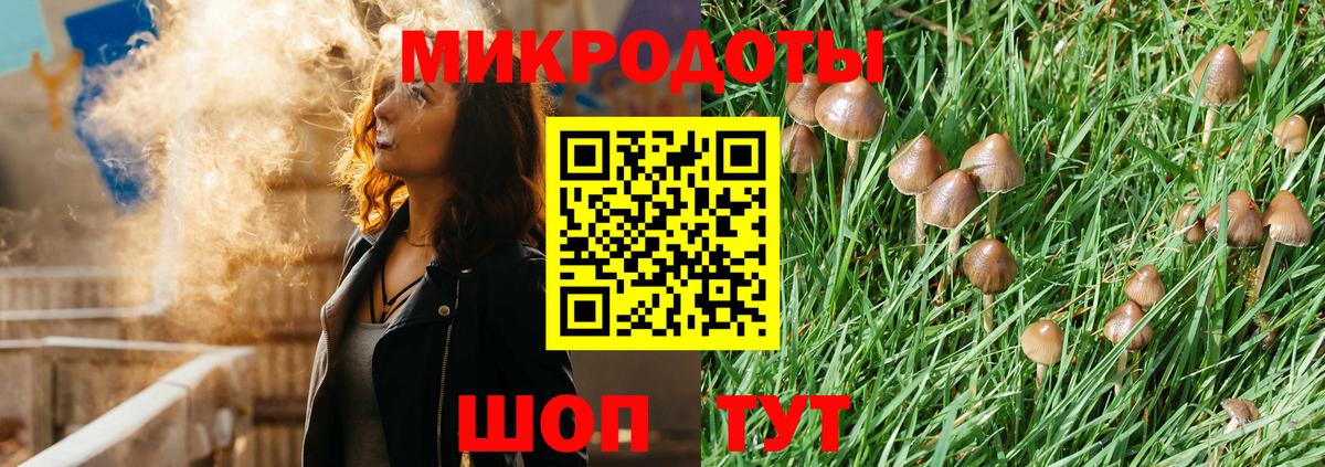 Галлюциногенные грибы ЛСД Богданович