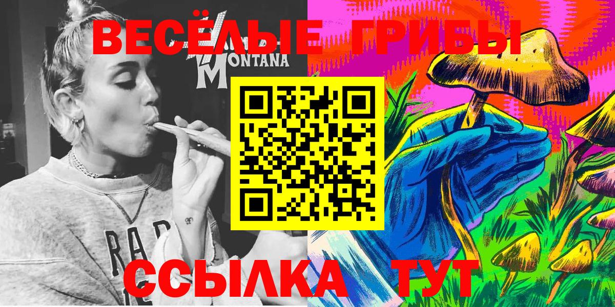 Псилоцибиновые грибы мухоморы  Псилоцибиновые грибы MAGIC MUSHROOMS  Богданович  как найти наркотики  Вход с VPN 
